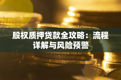 北京股权质押贷款全攻略：流程详解与风险预警