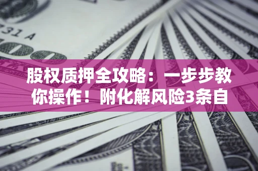 北京股权质押全攻略：一步步教你操作！附化解风险3条自救法则