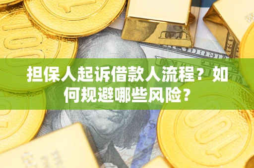 北京担保人起诉借款人流程？如何规避哪些风险？